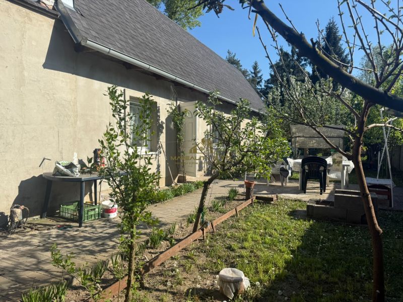 NA PREDAJ celoročná chata – Sekule (Šutrovňa), tiché prostredie - Záhrada pri chate v Sekuliach so stolom a stoličkami, trávnik a stromy.