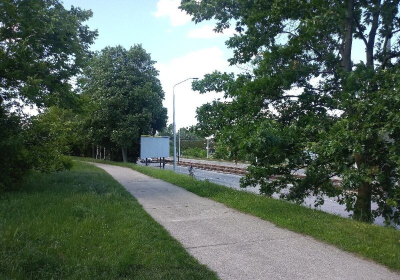 Chata snov nad Bratislavou – pokoj, výhľad a komfort na jednom mieste - Chodník lemovaný zeleňou vedie popri ceste v Bratislave - Karlovej Vsi.