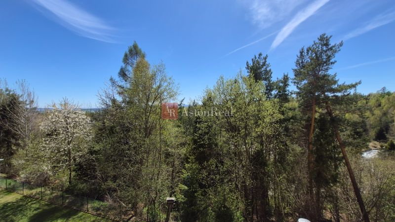 Investičný apartmán Vysoké Tatry - Stará Lesná s balkónom a park.miest - Lesný porast s výhľadom na vrcholky stromov a modrú oblohu v Starej Lesnej.