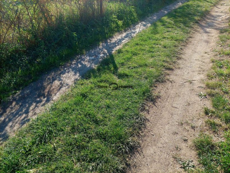 EXKLUZÍVNE NA PREDAJ – pekný pozemok na stavbu domu alebo chaty BUDINÁ - Trávnatý chodník v Budinej s rastúcimi kríkmi pozdĺž cesty pri rodinnom dome.