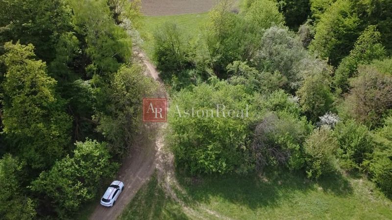 Pozemok vhodný na chov včiel Streženice- 874 m2 - Auto na lesnej ceste v rekreačných pozemkoch Streženice, Streženice obklopené zeleňou.