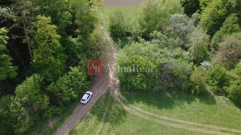 Pozemok vhodný na chov včiel Streženice- 874 m2 - Lúčna cesta obklopená stromami na rekreačných pozemkoch v Streženiciach, Streženice.