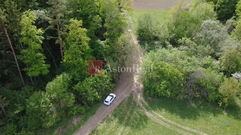 Pozemok vhodný na chov včiel Streženice- 874 m2 - Auto na lesnej ceste medzi zelenou vegetáciou v Rekreačných pozemkoch v Streženiciach.