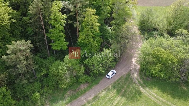 Pozemok vhodný na chov včiel Streženice- 874 m2 - Lúka s vozidlom pred lesom na rekreačných pozemkoch v Streženiciach, Streženice.