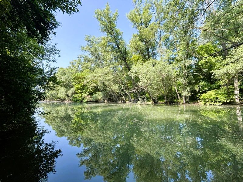 Celoročne obývateľná chata v Gabčíkove na 150 m² pozemku pri Dunaji - Rieka obklopená zeleňou v Gabčíkove, odraz stromov na hladine.