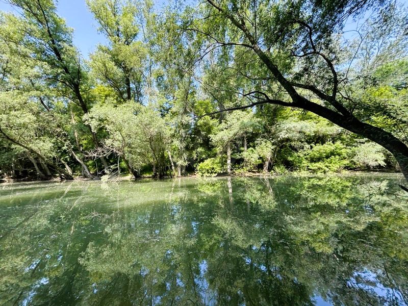 Celoročne obývateľná chata v Gabčíkove na 150 m² pozemku pri Dunaji - Pokojná vodná plocha so stromami odrážajúcimi sa na hladine pri chate v Gabčíkove.
