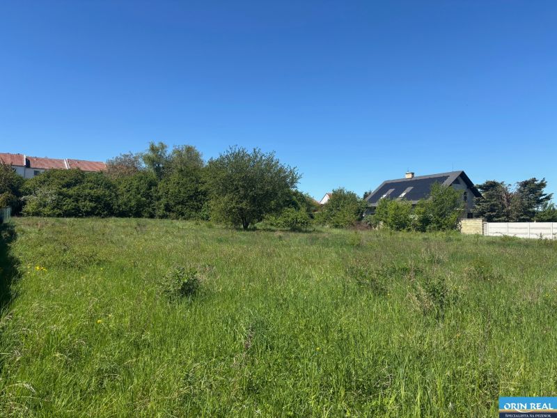 LUKRATÍVNY SP V BUDMERICIACH NA VÝSTAVBU RD ALEBO  BYT.DOMOV - 4459 m2 - Zelená plocha na Predaj pozemkov na bývanie v Budmericiach na ulici J. Rašu.