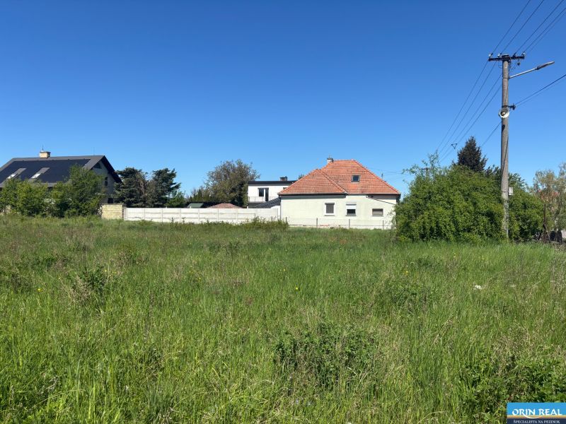 LUKRATÍVNY SP V BUDMERICIACH NA VÝSTAVBU RD ALEBO  BYT.DOMOV - 4459 m2 - Trávnatý pozemok na bývanie v Budmericiach na J.Rašu, obklopený domami a zelenou vegetáciou.