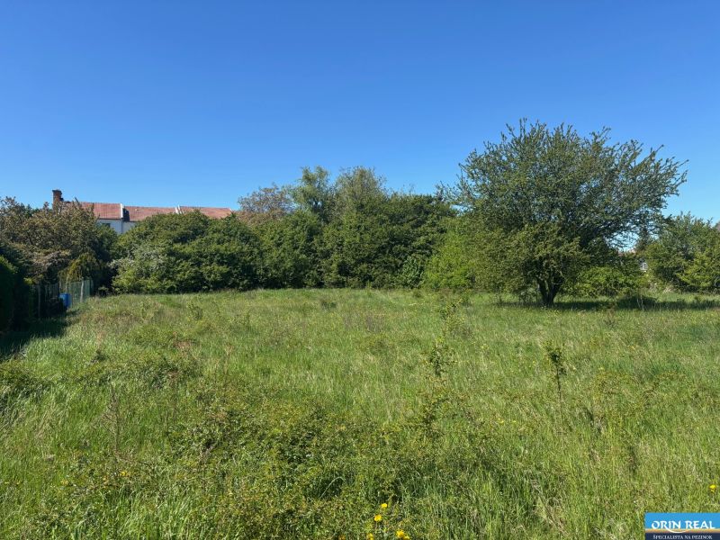 LUKRATÍVNY SP V BUDMERICIACH NA VÝSTAVBU RD ALEBO  BYT.DOMOV - 4459 m2 - Pozemky na bývanie na ulici J.Rašu, Budmerice, s trávnatou plochou a stromami.