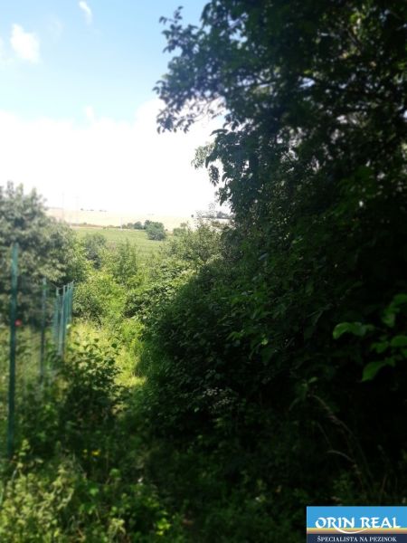 PREDAJ INVESTIČNÉHO POZEMKU V ŠENKVICIACH NA VÝSTAVBU RD - 2197 m2 - Pozemky - bývanie na Ružovej ulici v Šenkviciach, s hustou zeleňou a oplotením.