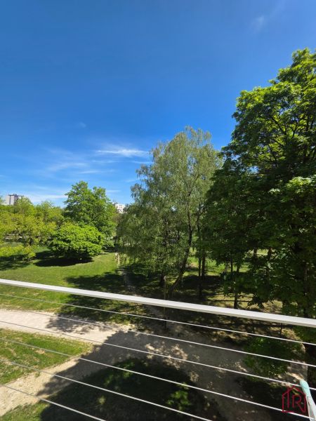 Prenájom 3-izbový byt s loggiou a vybavením, Terasa - Výhľad na park obklopený stromami z 3-izbového bytu na Lesníckej v Košiciach.