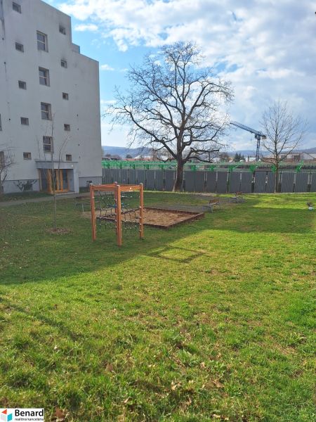NA PRENÁJOM 2 IZBOVÝ TEHLOVÝ BYT, 55 M2, PREŠOV, ŠIRŠIE CENTRUM - Dvor pri 2-izbovom byte na Majakovského v Prešove s trávnikom a stromami.