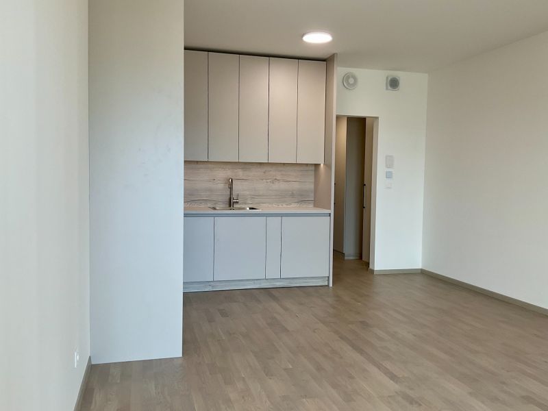 I Predaj Výnimočný  1-izb apartmán v projekte Metropolis - Kuchyňa v 1-izbovom byte so svetlým nábytkom a podlahou s dreveným dekorom.