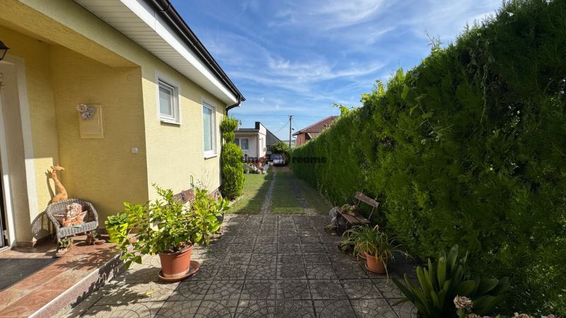 NA PREDAJ 4 izbový rodinný dom Nitrianske Hrnčiarovce - Vstup do rodinného domu v Nitrianskych Hrnčiarovciach, obklopený zeleňou a rastlinami v kvetináčoch.