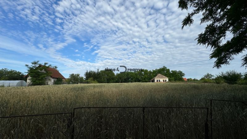 NA PREDAJ pozemok v obci Nové Sady - Pole s obilím, vidiecky dom, modrá obloha; pozemky vhodné na bývanie.