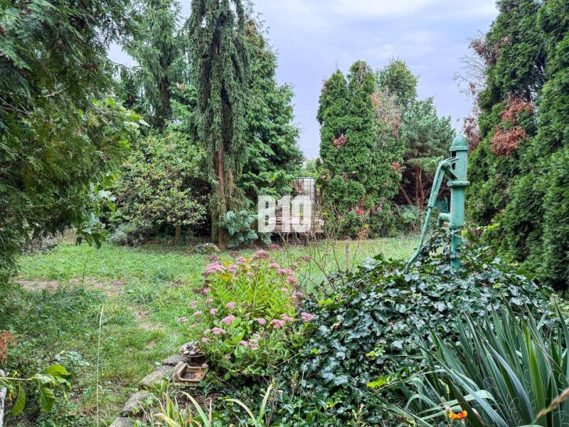Priestranný rodinný dom s garážou na veľkom pozemku v obci Vlkas - Záhrada rodinného domu vo Vlkase so zeleňou a starou pumpou obklopenou rastlinami.