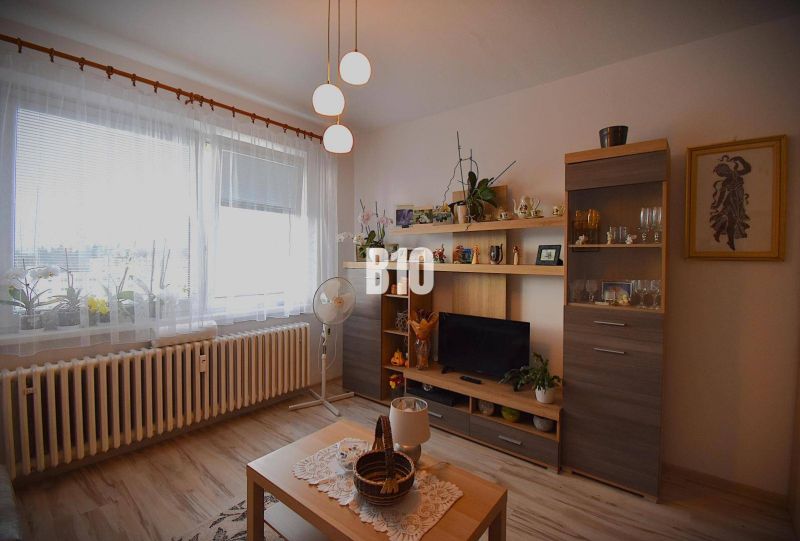 25m2 Garsónka v Žiline - Vlčince - Obývacia izba s nábytkom a dekoráciami v Rekreačnom apartmáne, podlaha s dreveným dekorom.