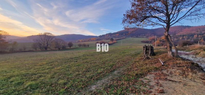Slnečný pozemok s krásnym výhľadom, 1375m2. - Krajina s pastvinami a stromami, ideálna pre pozemky a bývanie v prírode.