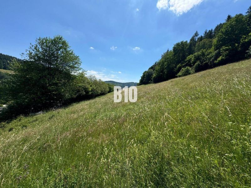 Slnečný stavebný pozemok Dolný Vadičov 7321m2 - Široká lúka s výhľadom, obklopená stromami v Dolnom Vadičove, ideálna pre pozemky na bývanie.