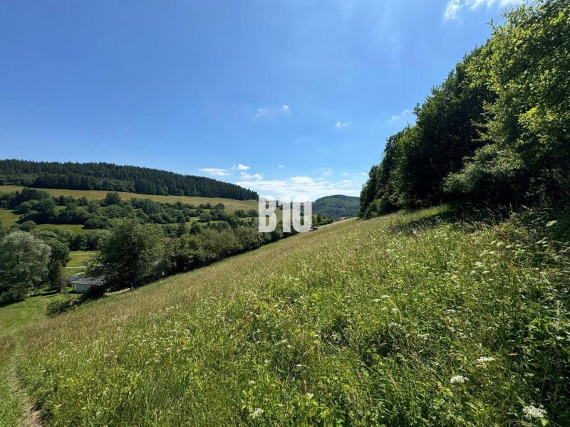 Slnečný stavebný pozemok Dolný Vadičov 7321m2 - Kopcovitá krajina s lúkou v Dolnom Vadičove, ideálna na pozemky - bývanie.