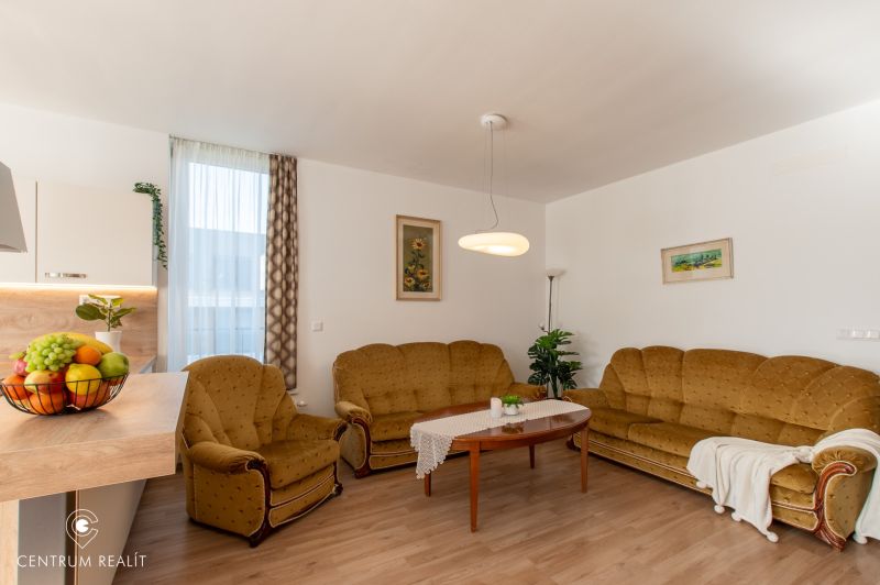 Moderný 2-izbový apartmán s parkovaním, Vila Leonardo, Bajkalská - Obývačka 2-izbového bytu s pohovkami, rastlinou a podlahou s dreveným dekorom.