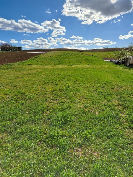 Predáme stavebný pozemok, 1101 m2, Nové Sady, časť Sila
