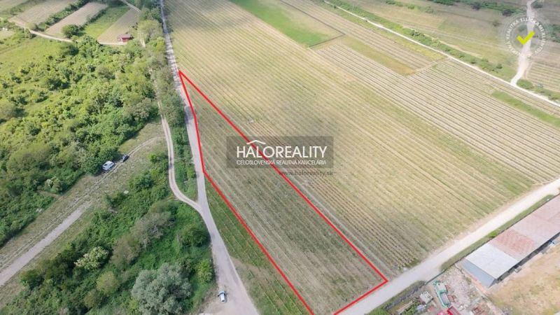 Predaj, pozemok 3801 m2 Svätý Jur - EXKLUZÍVNE HAL...