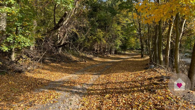 Pozemok o rozlohe 1100 m2 v krásnej lokalite Borinka, okres Malacky