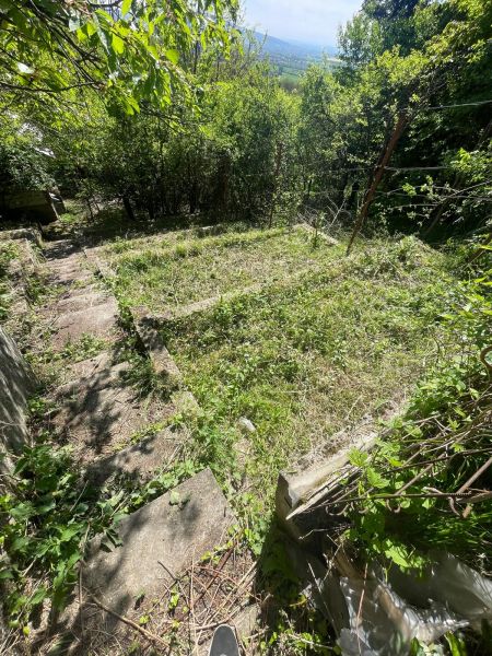 Rekreačná chata s pozemkom a panoramatickým výhľadom - Ovocinár - Schodisko vedúce k Chate na ulici Ovocinár v Stupave, obklopené bujnou zeleňou.