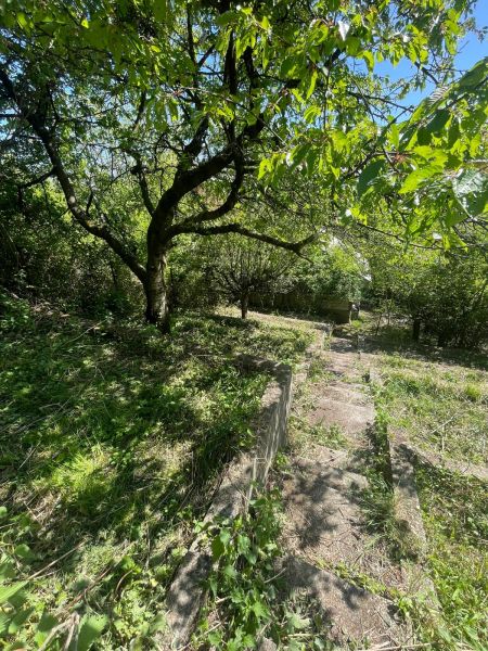 Rekreačná chata s pozemkom a panoramatickým výhľadom - Ovocinár - Zeleň a schodisko na ulici Ovocinár v Stupave vedľa chaty.