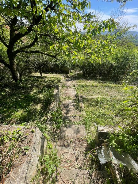 Rekreačná chata s pozemkom a panoramatickým výhľadom - Ovocinár - Prírodná scenéria schodov vedúca k chate v Stupave na ulici Ovocinár.