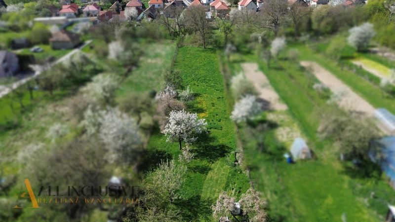 RODINNÝ DOM - CHALUPA S VEĽKÝM POZEMKOM | SKÝCOV - Kvetúce stromy a zelené polia v záhrade rodinného domu na Konopniskách v Skýcove.