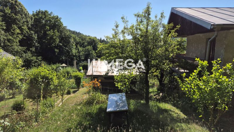 NOVÁ CENA za PREDAJ POZEMKU S DREVENOU CHATKOU v HUMENNOM - Záhrady v Humennom s množstvom zelene a stromami na sviežom letnom slnku.