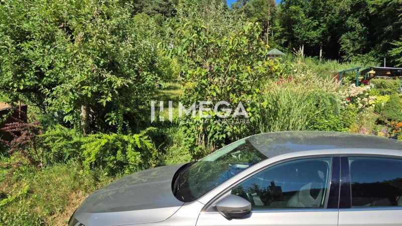 NOVÁ CENA za PREDAJ POZEMKU S DREVENOU CHATKOU v HUMENNOM - Auto medzi stromami a kvetmi v záhradách Humenného na slnečný deň.