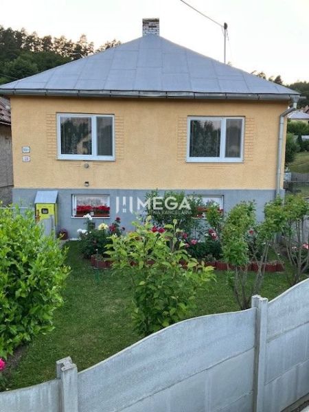 Znížena cena domu na Jesenského ulici v Snine - Rodinný dom na Jesenského v Snine s pekne upravenou záhradkou a kvetmi.