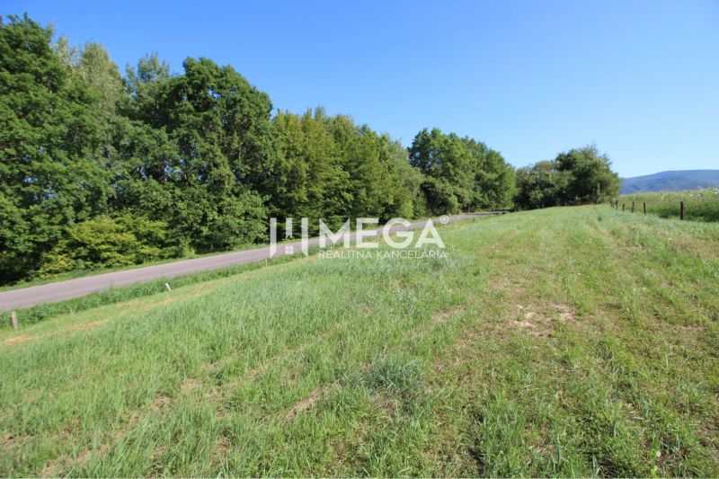 NA PREDAJ INVESTIČNÝ POZEMOK S PANORAMATICKÝM VÝHĽADOM SNINA - Zeleň a cesta na pozemkoch pre bývanie v Snine na Hámorskej ulici.