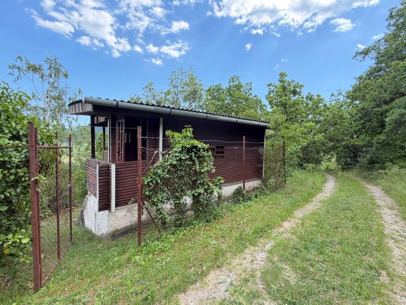 NA PREDAJ MALEBNÁ VINICA S CHATKOU, DVORNÍKY