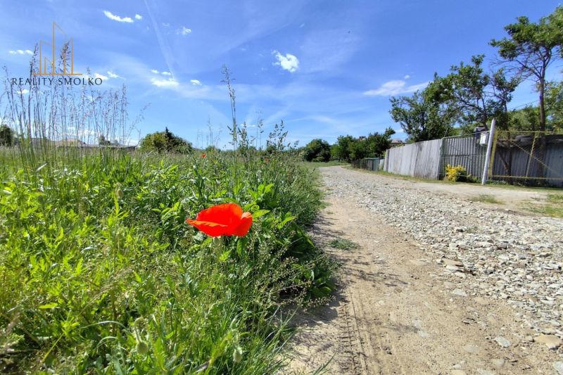 Na predaj pozemky vo Veľkom Šariši - Poľná cesta a kvitnúce maky vo Výrobných priestoroch vo Veľkom Šariši pod modrou oblohou.