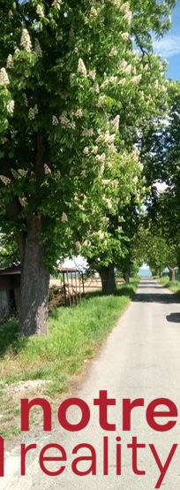 Stavebný pozemok v tichej lokalite mesta Lučenec - Cesta lemovaná kvitnúcimi stromami v Lučenci, vhodná pre Pozemky - bývanie.