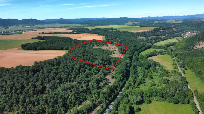 Domaníky – 49.000 m2 LESNÝ REKREAČNÝ POZEMOK v podiele 1/1 - Zalesnená oblasť a poľnohospodárske pozemky v Domaníkoch s vyznačeným územím.