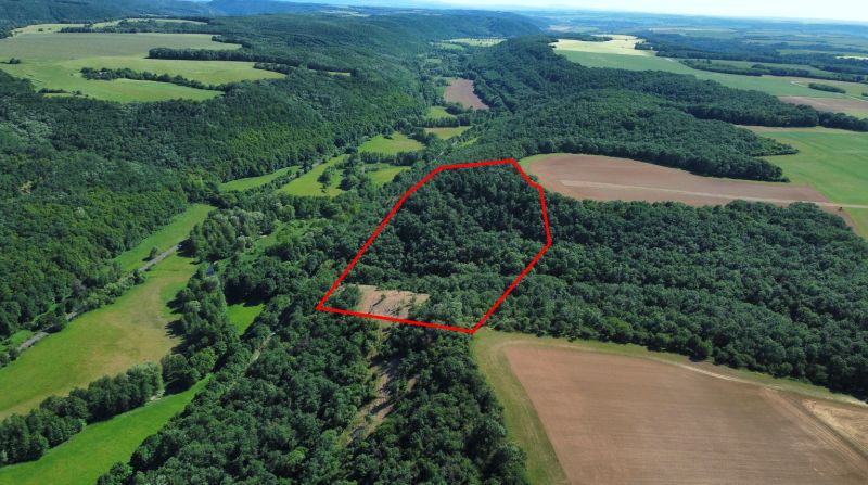 Domaníky – 49.000 m2 LESNÝ REKREAČNÝ POZEMOK v podiele 1/1 - V Domaníkoch sa nachádzajú poľnohospodárske a lesné pozemky s hustým zalesnením a políčkami.