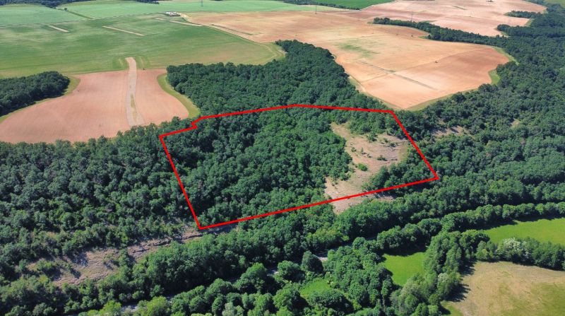 Domaníky – 49.000 m2 LESNÝ REKREAČNÝ POZEMOK v podiele 1/1 - Letecký pohľad na poľnohospodárske a lesné pozemky v okolí Domaníkov.
