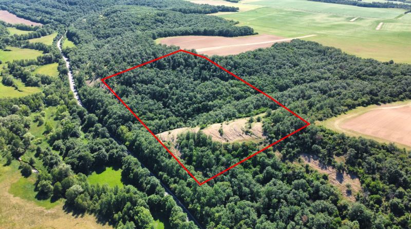 Domaníky – 49.000 m2 LESNÝ REKREAČNÝ POZEMOK v podiele 1/1 - Letecký pohľad na poľnohospodárske a lesné pozemky v obci Domaníky, obklopené zeleňou.
