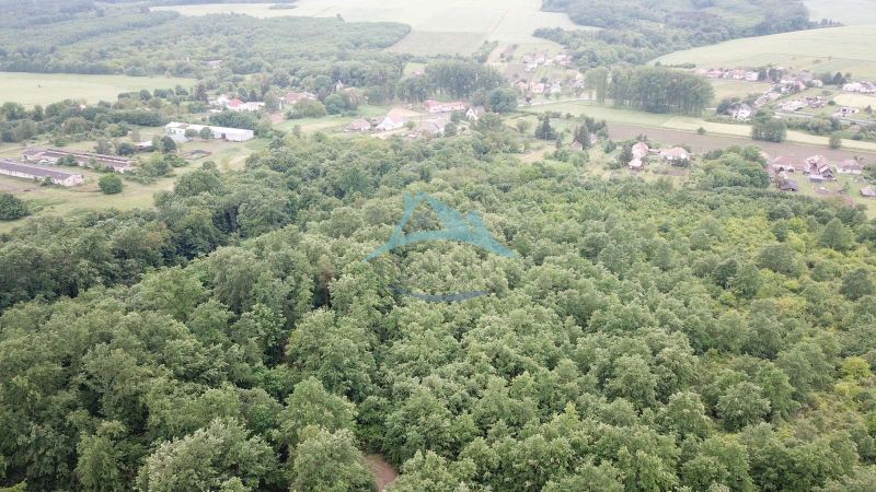 Na predaj 13,8 ha agropôdy v Trebušovciach – 11,5 ha ucelený pozemok  - Letecký pohľad na poľnohospodárske a lesné pozemky pri Trebušovciach obklopené zeleňou a vidieckymi oblasťami.