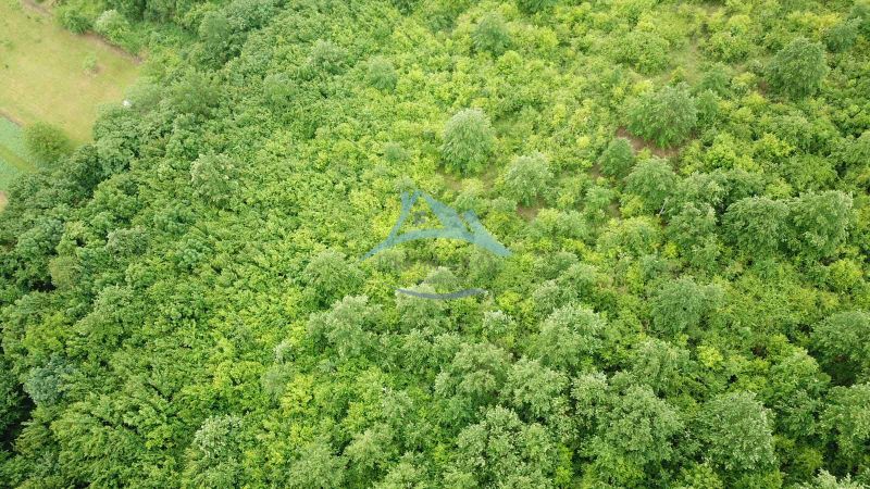 Na predaj 13,8 ha agropôdy v Trebušovciach – 11,5 ha ucelený pozemok  - Husté lesné porasty v oblasti poľnohospodárskych a lesných pozemkov v Trebušovciach.