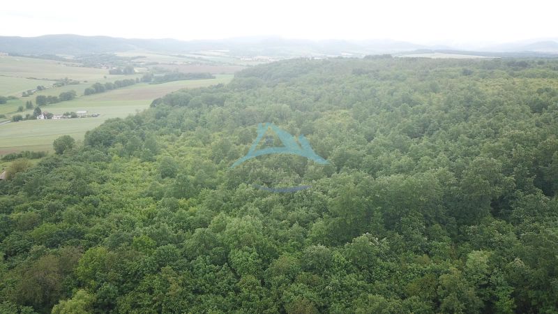 Na predaj 13,8 ha agropôdy v Trebušovciach – 11,5 ha ucelený pozemok  - Rozsiahle lesy a poľnohospodárske pozemky pri Trebušovciach rozprestierajúce sa na zelených údoliach.