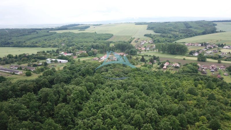 Na predaj 13,8 ha agropôdy v Trebušovciach – 11,5 ha ucelený pozemok  - Letecký pohľad na poľnohospodárske a lesné pozemky v okolí Trebušoviec s dedinským osídlením.