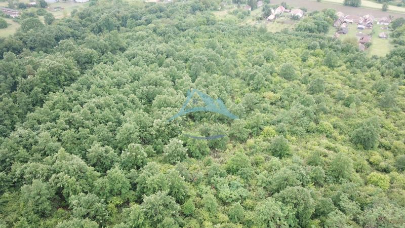 Na predaj 13,8 ha agropôdy v Trebušovciach – 11,5 ha ucelený pozemok  - Letecký pohľad na zelené lesné pozemky v okolí obce Trebušovce.