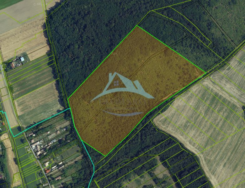 Na predaj 13,8 ha agropôdy v Trebušovciach – 11,5 ha ucelený pozemok  - Letecký pohľad na poľnohospodárske a lesné pozemky v okolí Trebušoviec s parcelnými čiarami.