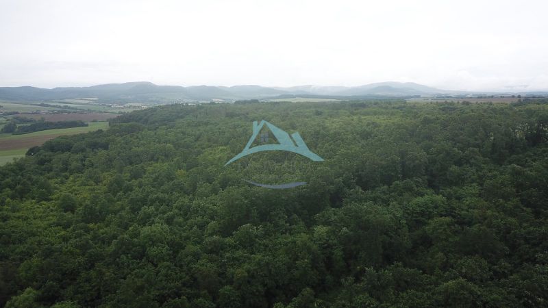Na predaj 13,8 ha agropôdy v Trebušovciach – 11,5 ha ucelený pozemok  - Zalesnené poľnohospodárske a lesné pozemky v okolí Trebušoviec, s výhľadom na kopcovitú krajinu.